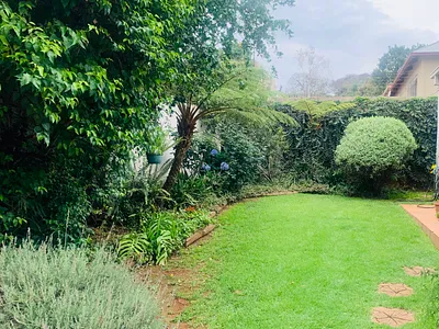 1 Bedroom House To Rent in Johannesburg - XL6y.webp