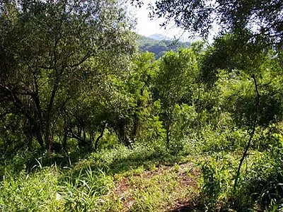 Vacant Land For Sale in Barberton - wMZY.webp