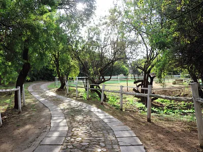 Farm For Sale in Centurion - vwU0.webp