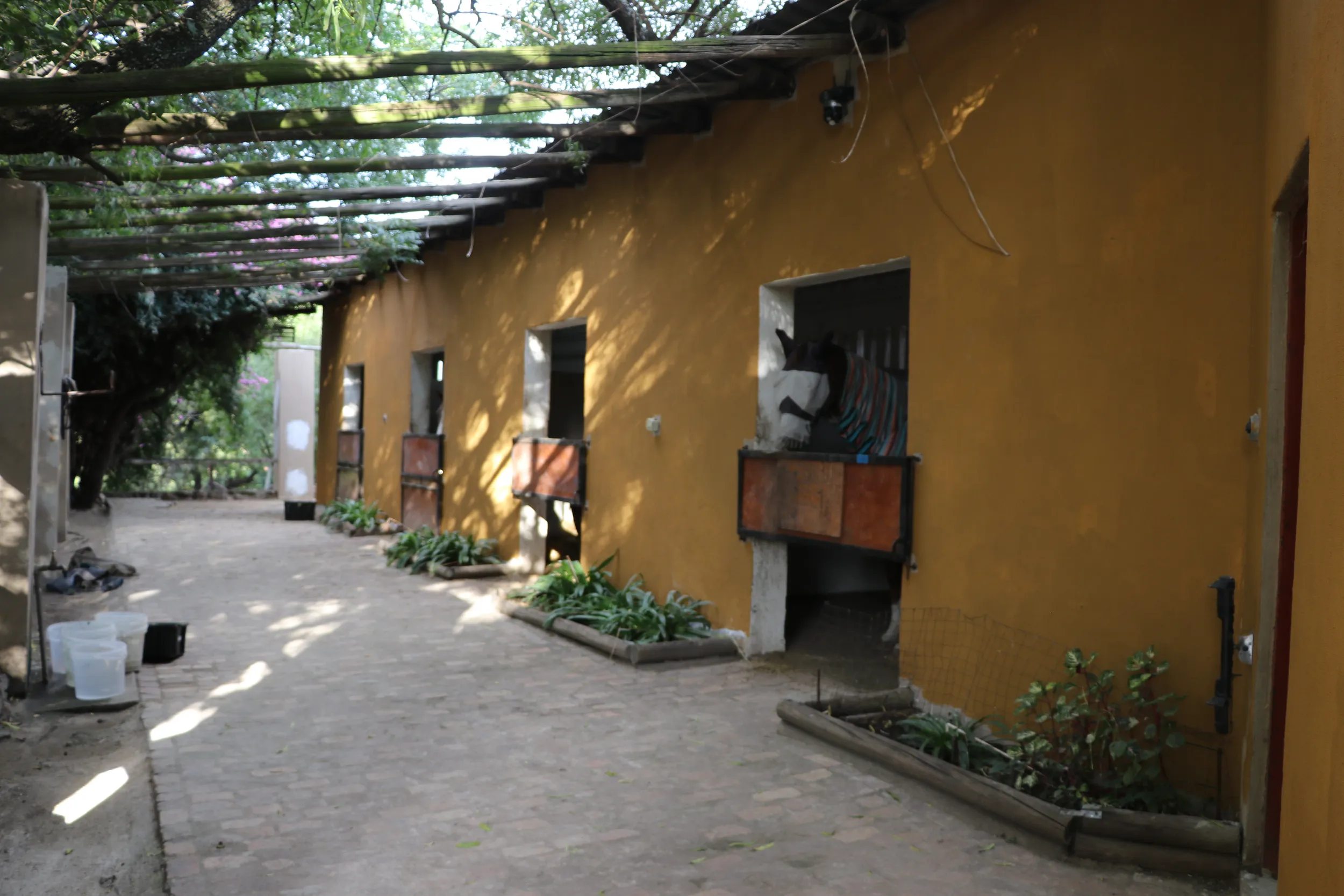 Carousel Indicator - aWaa.webp