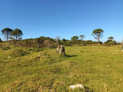 Vacant Land For Sale in Plettenberg Bay - img