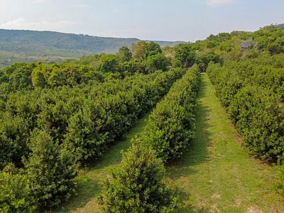 Farm For Sale in Hazyview - 5PSu.webp