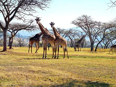 Vacant Land For Sale in Nelspruit - HIj9.webp