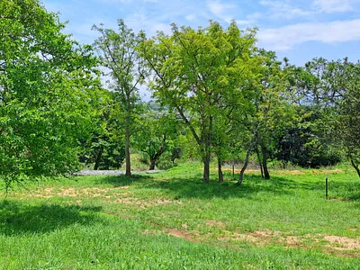 Vacant Land For Sale in Nelspruit - ZEsN.webp