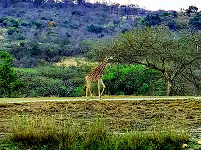 Vacant Land For Sale in Nelspruit - 3dCM.webp