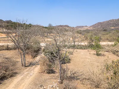 Farm For Sale in Nelspruit - img