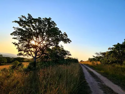 Vacant Land For Sale in Nelspruit - aNvl.webp