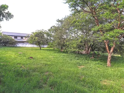 Vacant Land For Sale in Nelspruit - PxsQ.webp