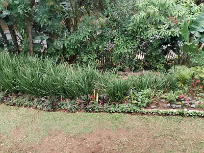 3 Bedroom Apartment For Sale in Ballito - 6tBo.webp