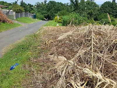 Vacant Land For Sale in Stanger - 21u9.webp