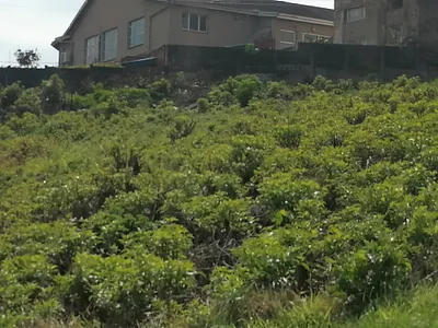 Vacant Land For Sale in La Mercy - swkG.webp