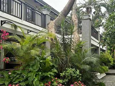 3 Bedroom House For Sale in Ballito - VqlU.webp