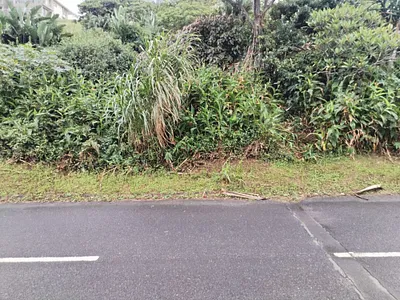 Vacant Land For Sale in Ballito - FJHH.webp