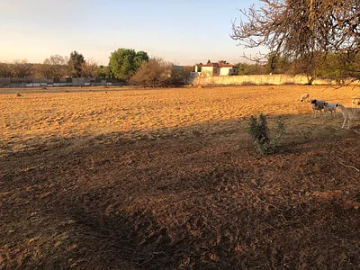 Farm For Sale in Roodepoort - jzBq.webp