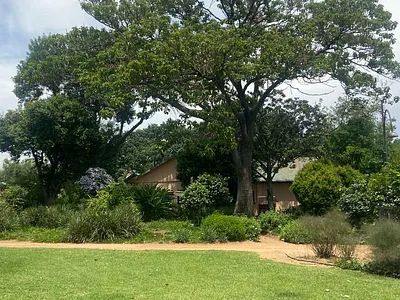 Farm For Sale in Roodepoort - 0G8D.webp