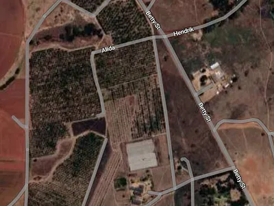 Farm For Sale in Randfontein - img