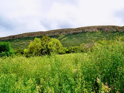 Farm For Sale in Pretoria - img