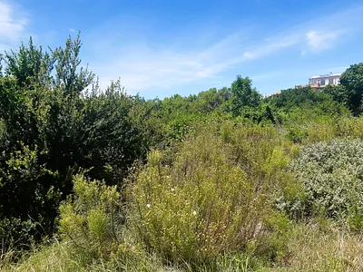 Vacant Land For Sale in Jeffreys Bay - u9ZQ.webp