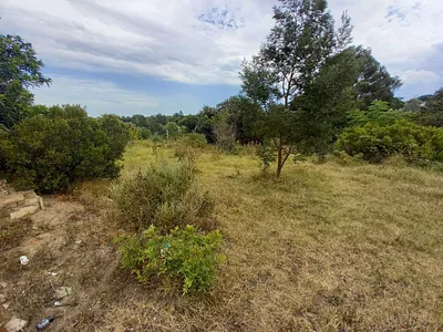 Vacant Land For Sale in Humansdorp - zY2l.webp