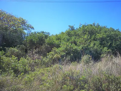 Vacant Land For Sale in Jeffreys Bay - rQr8.webp