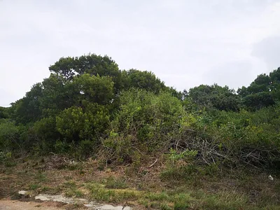 Vacant Land For Sale in Jeffreys Bay - LriY.webp