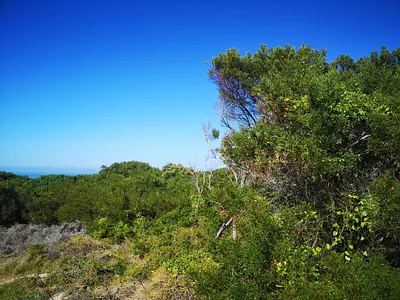 Vacant Land For Sale in Jeffreys Bay - L5DQ.webp