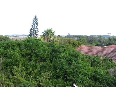 Vacant Land For Sale in Jeffreys Bay - l8DC.webp