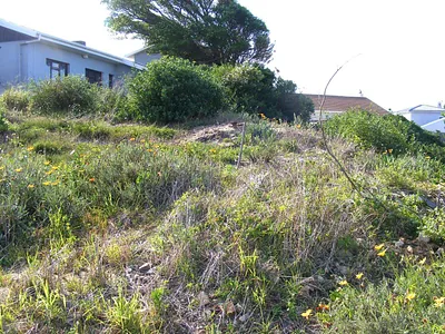 Vacant Land For Sale in Jeffreys Bay - UQbx.webp