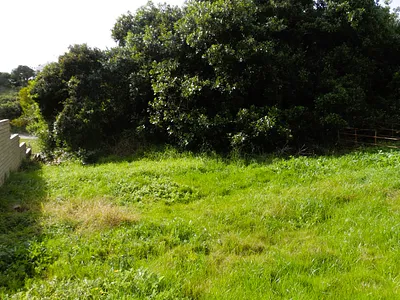 Vacant Land For Sale in Jeffreys Bay - OGLQ.webp