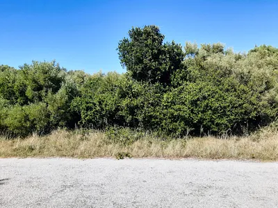 Vacant Land For Sale in Jeffreys Bay - QPvJ.webp