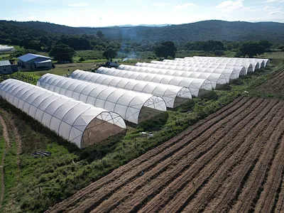 Farm For Sale in Thornhill - Pfk9.webp