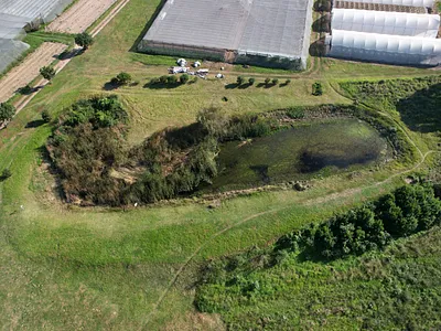 Farm For Sale in Thornhill - pUMQ.webp