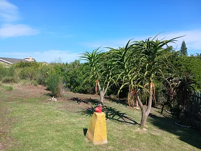 Vacant Land For Sale in Jeffreys Bay - HAfT.webp