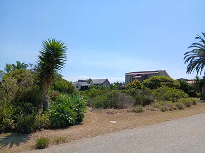 Vacant Land For Sale in Jeffreys Bay - uYIu.webp