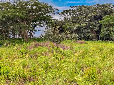 Vacant Land For Sale in Ballito - LJtF.webp