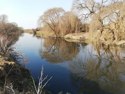 Farm For Sale in Meyerton - wU5P.webp