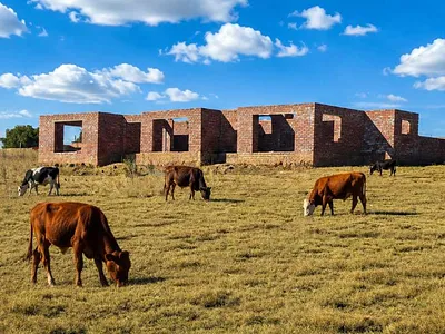 Farm For Sale in Heidelberg - T30d.webp