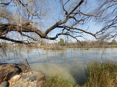 Vacant Land For Sale in Meyerton - Q3qO.webp