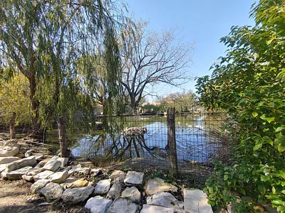 Farm For Sale in Homelands, Meyerton - vD2F.webp