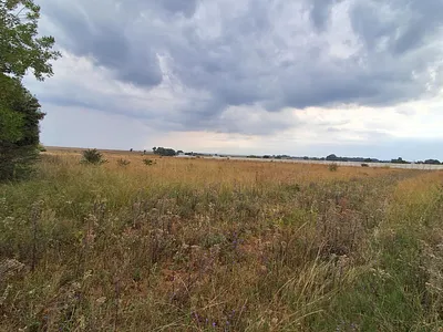 Farm For Sale in Meyerton - Fzcu.webp