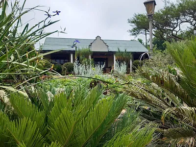 Commercial Property For Sale in New Hanover - sLNQ.webp