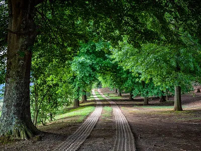 5 Bedroom House For Sale in Howick - 3YrA.webp