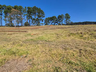 Vacant Land For Sale in Howick - img