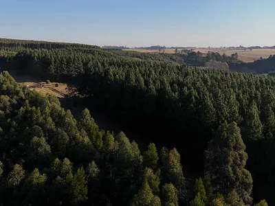 Vacant Land For Sale in Howick - 8XB7.webp