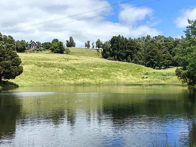 Farm For Sale in Howick - Yuiw.webp