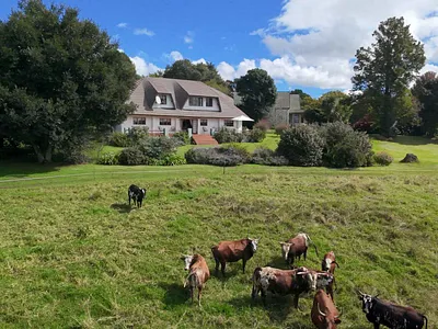 14 Bedroom House For Sale in Howick - tTOc.webp