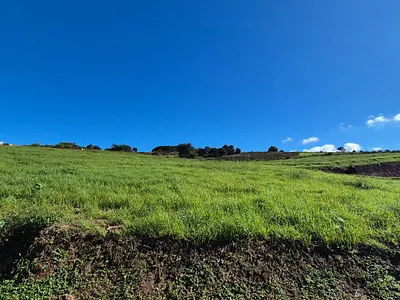 Vacant Land For Sale in Howick - LHwv.webp