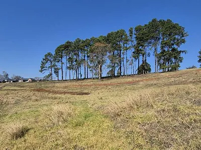 Vacant Land For Sale in Howick - 6fSK.webp