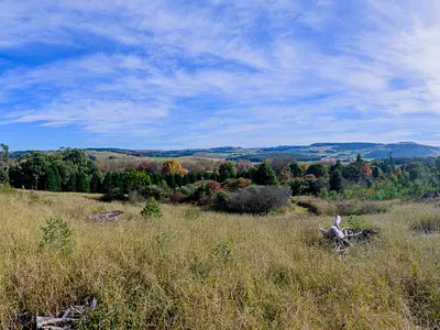 Vacant Land For Sale in Howick - bYZa.webp