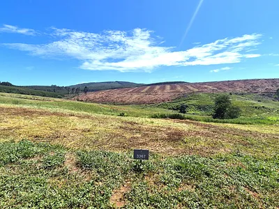 Vacant Land For Sale in Howick - Vovc.webp